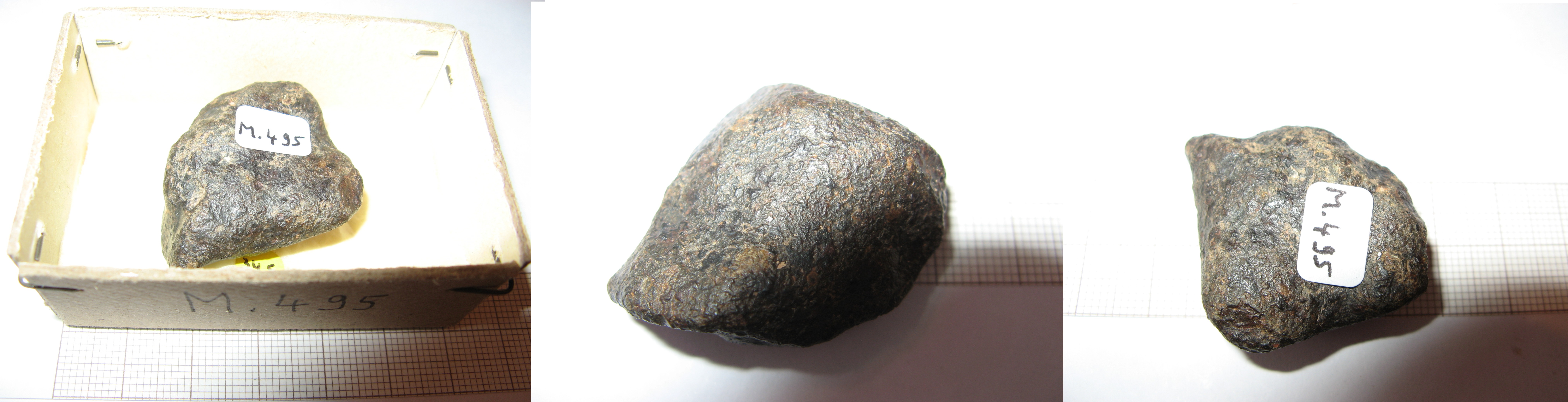 M495.jpg