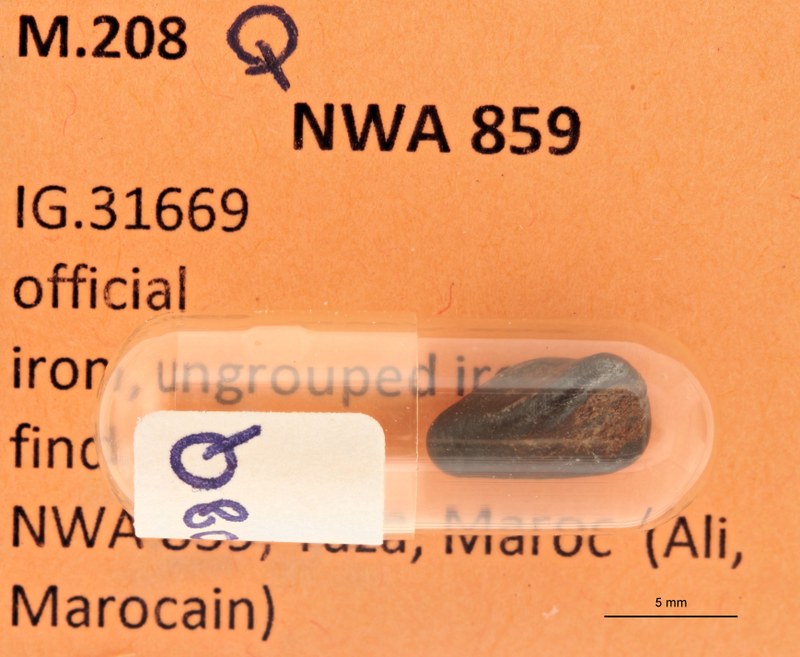 M208Q ZS PMax.jpg