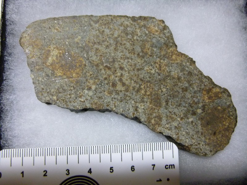 M338E.jpg