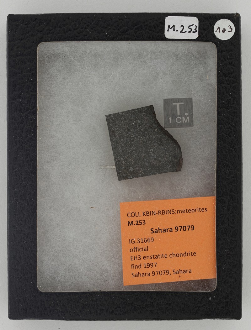 M253 ZS PMax_DxO.jpg