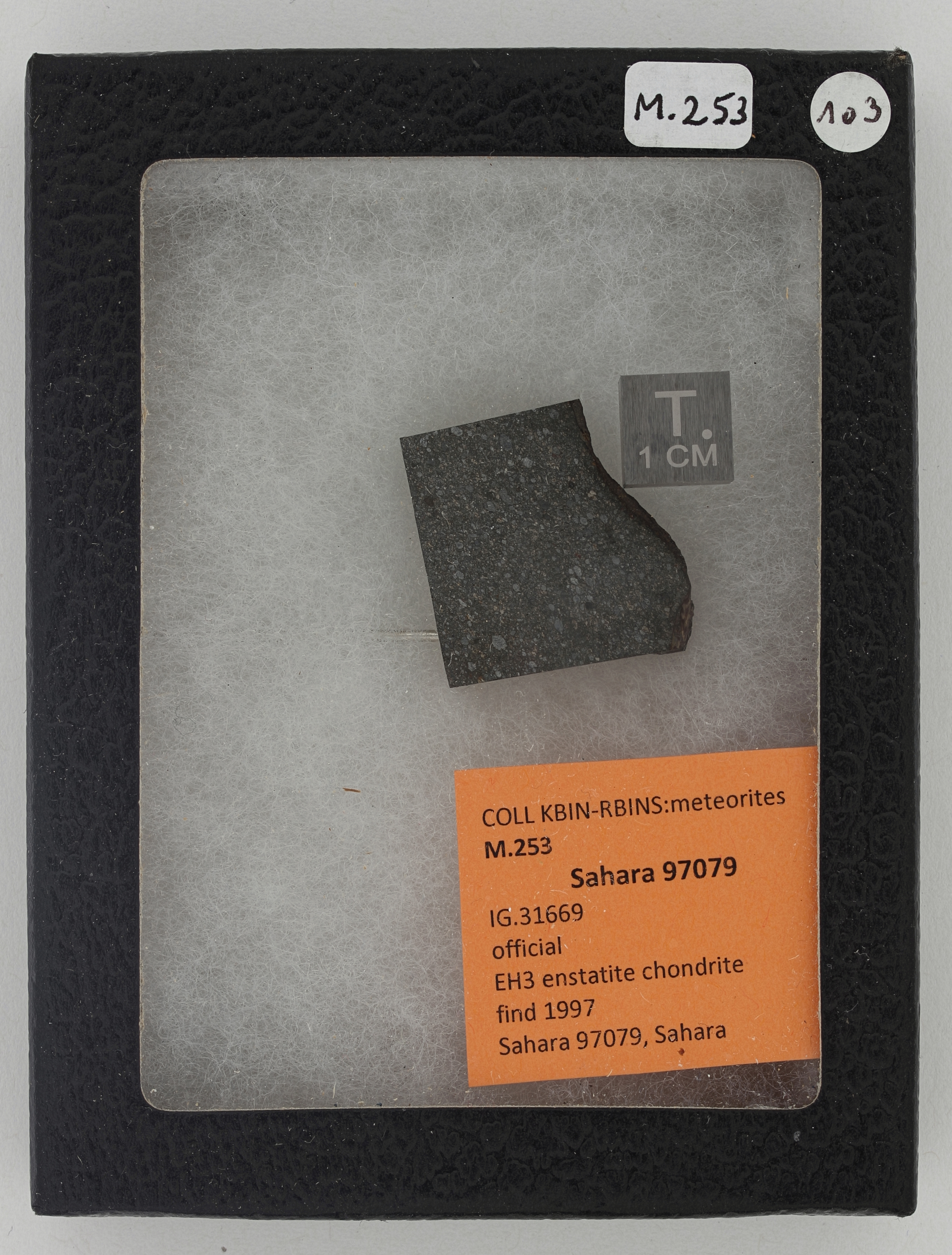 M253 ZS PMax_DxO.jpg