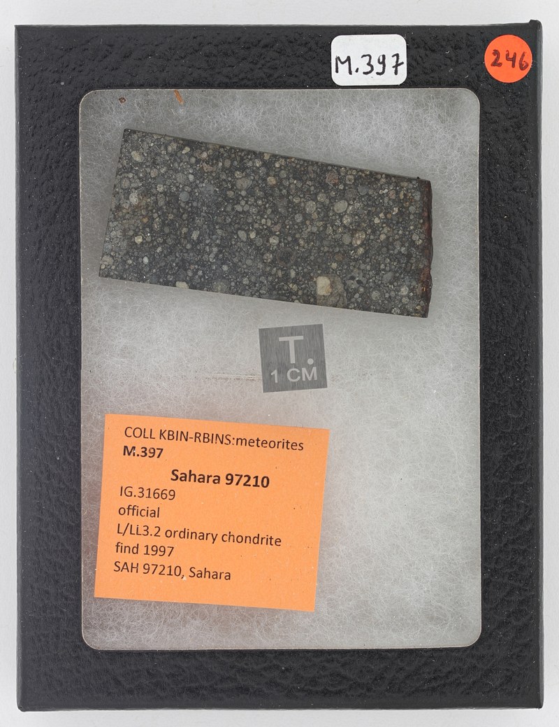 M397 ZS PMax_DxO.jpg