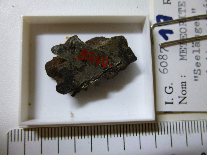 M017.jpg