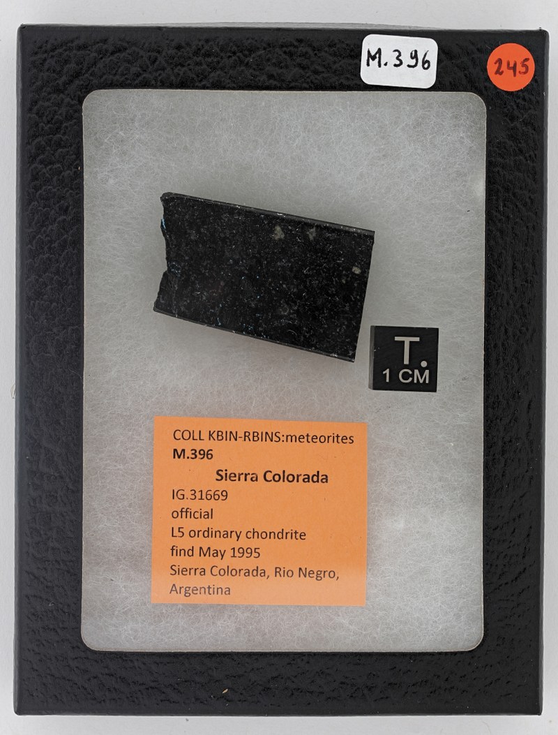 M396 ZS PMax_DxO.jpg