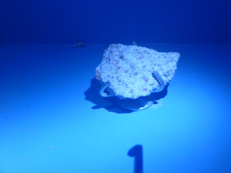 M126.jpg