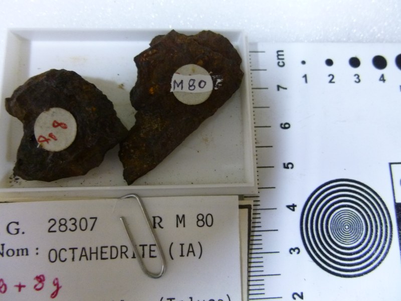 M080.jpg