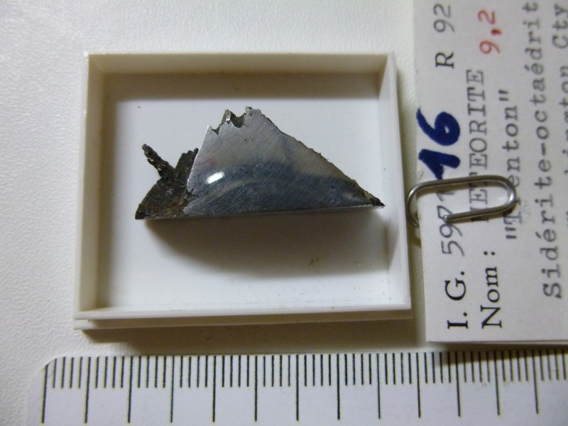 M016.jpg