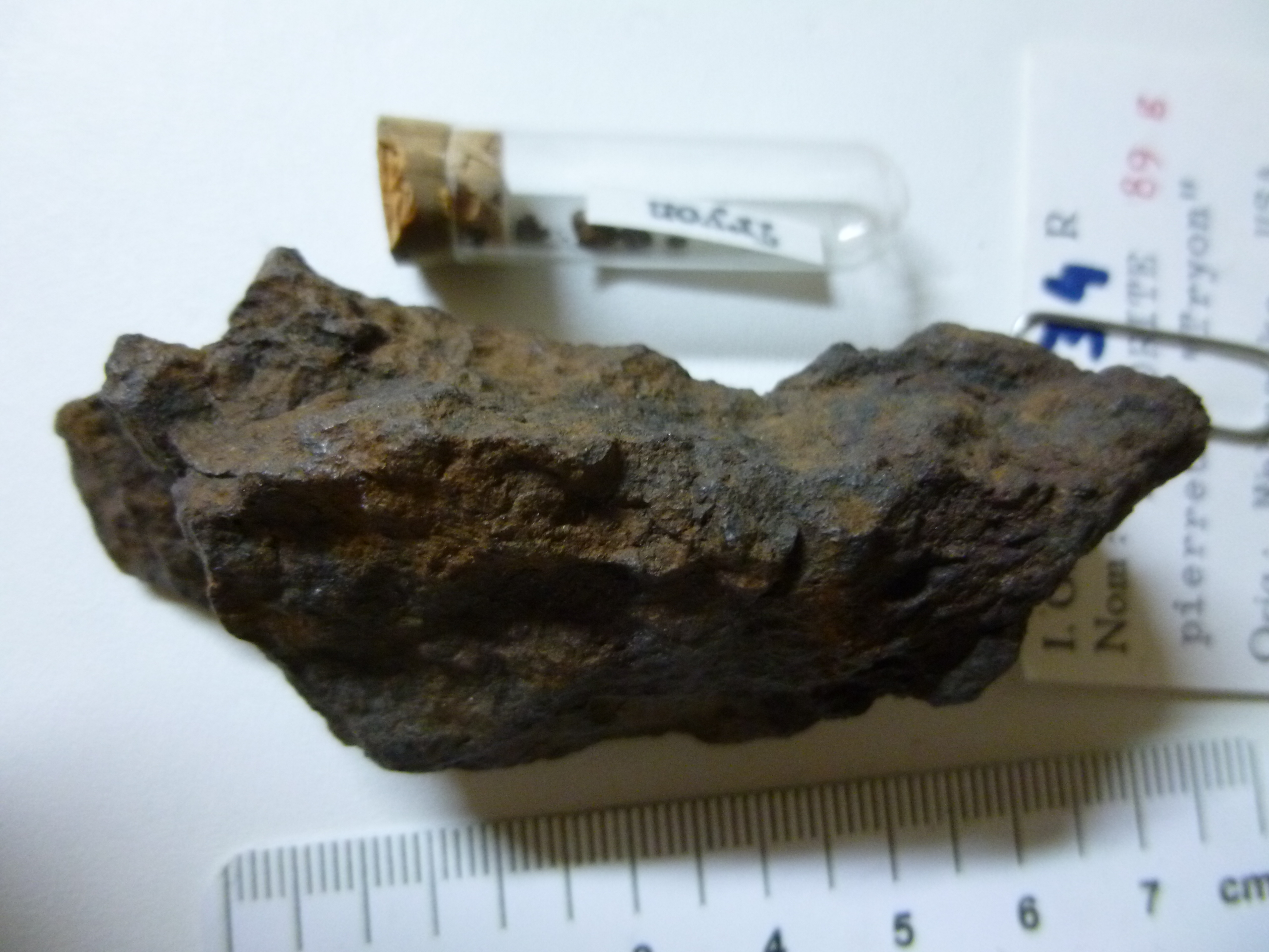 M034.jpg