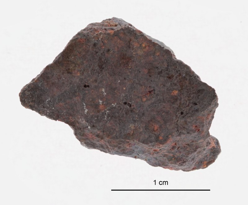 A09426-b ZS PMax.jpg.jpeg
