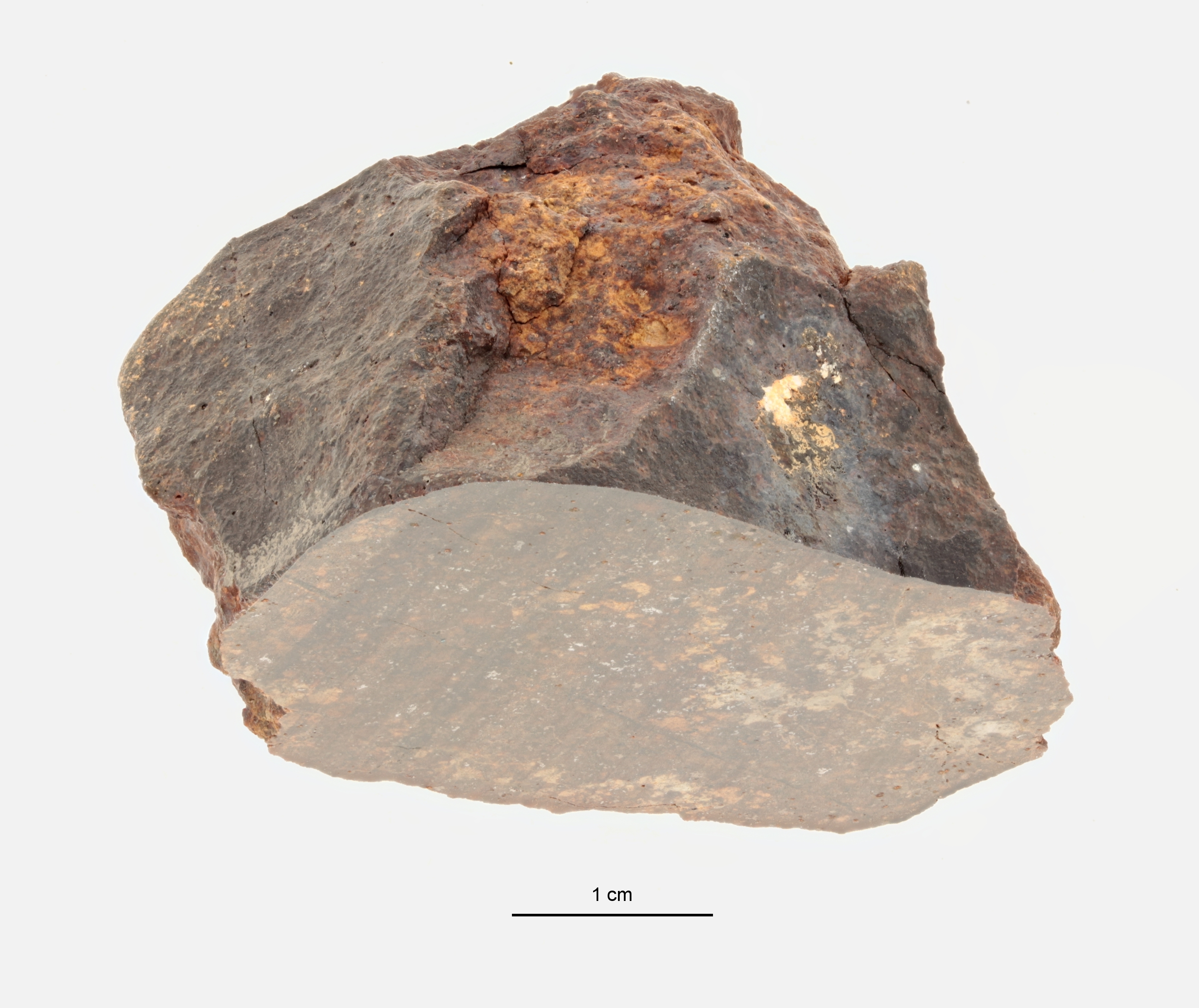 A09442-c ZS PMax.jpg