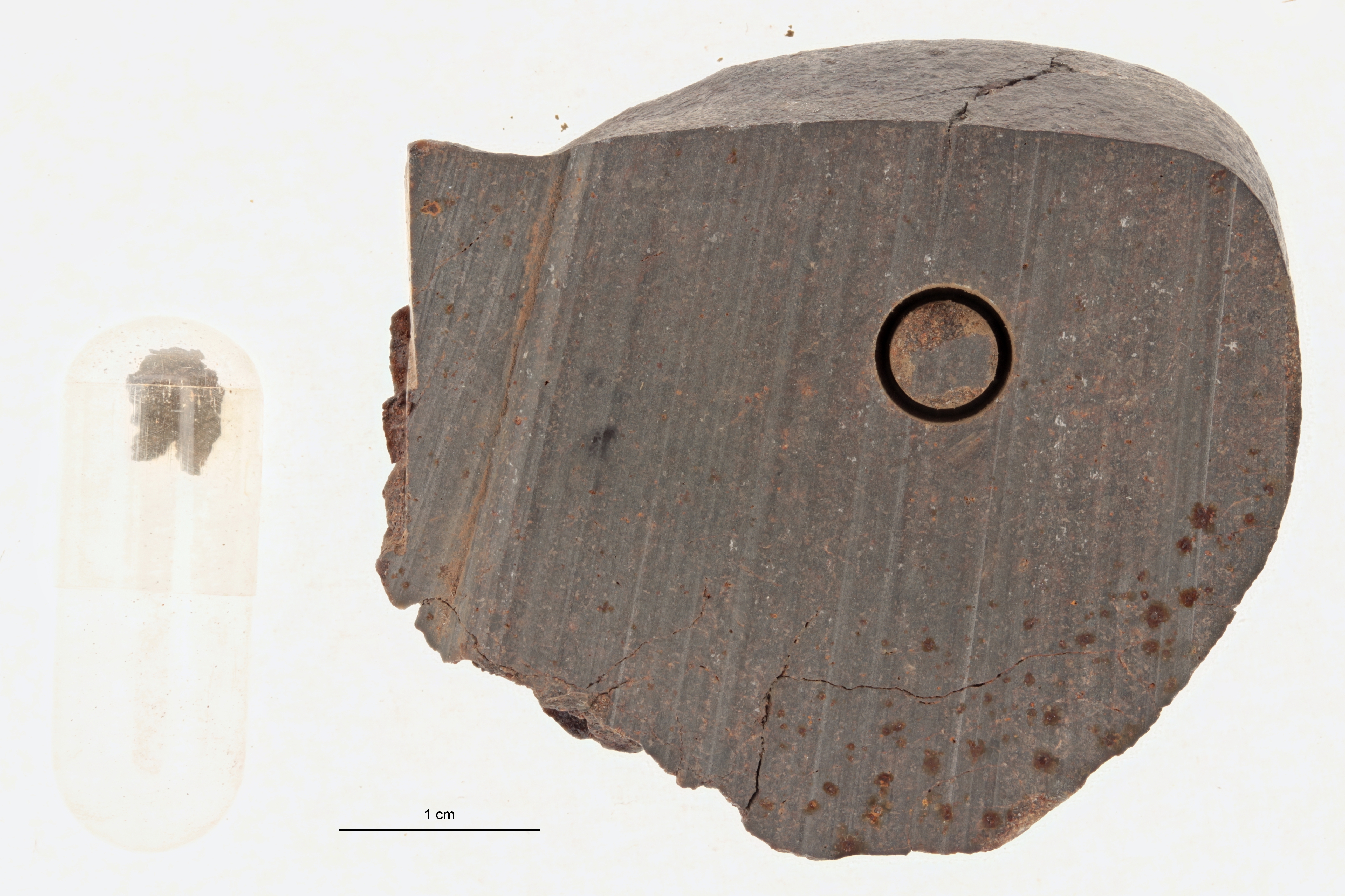 A09516-a ZS PMax.jpg