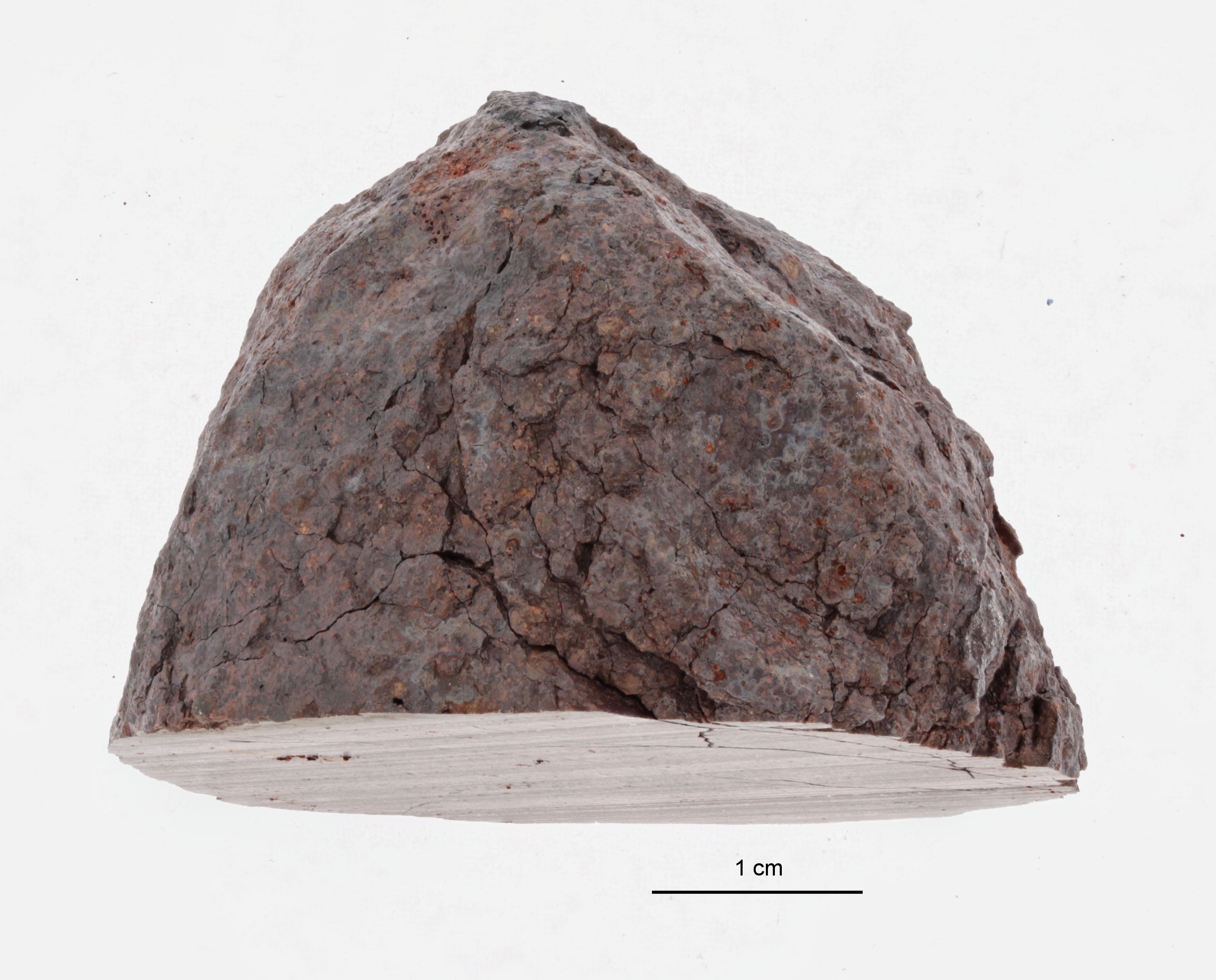 A09552-b ZS PMax.jpeg