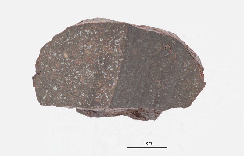 A09608-a ZS PMax.jpeg
