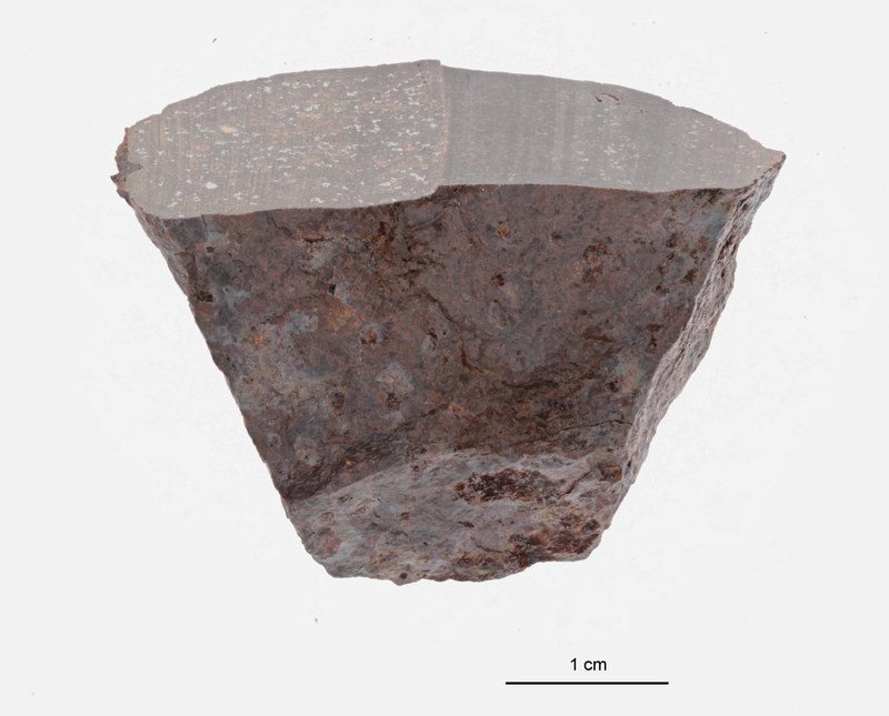 A09608-c ZS PMax.jpeg
