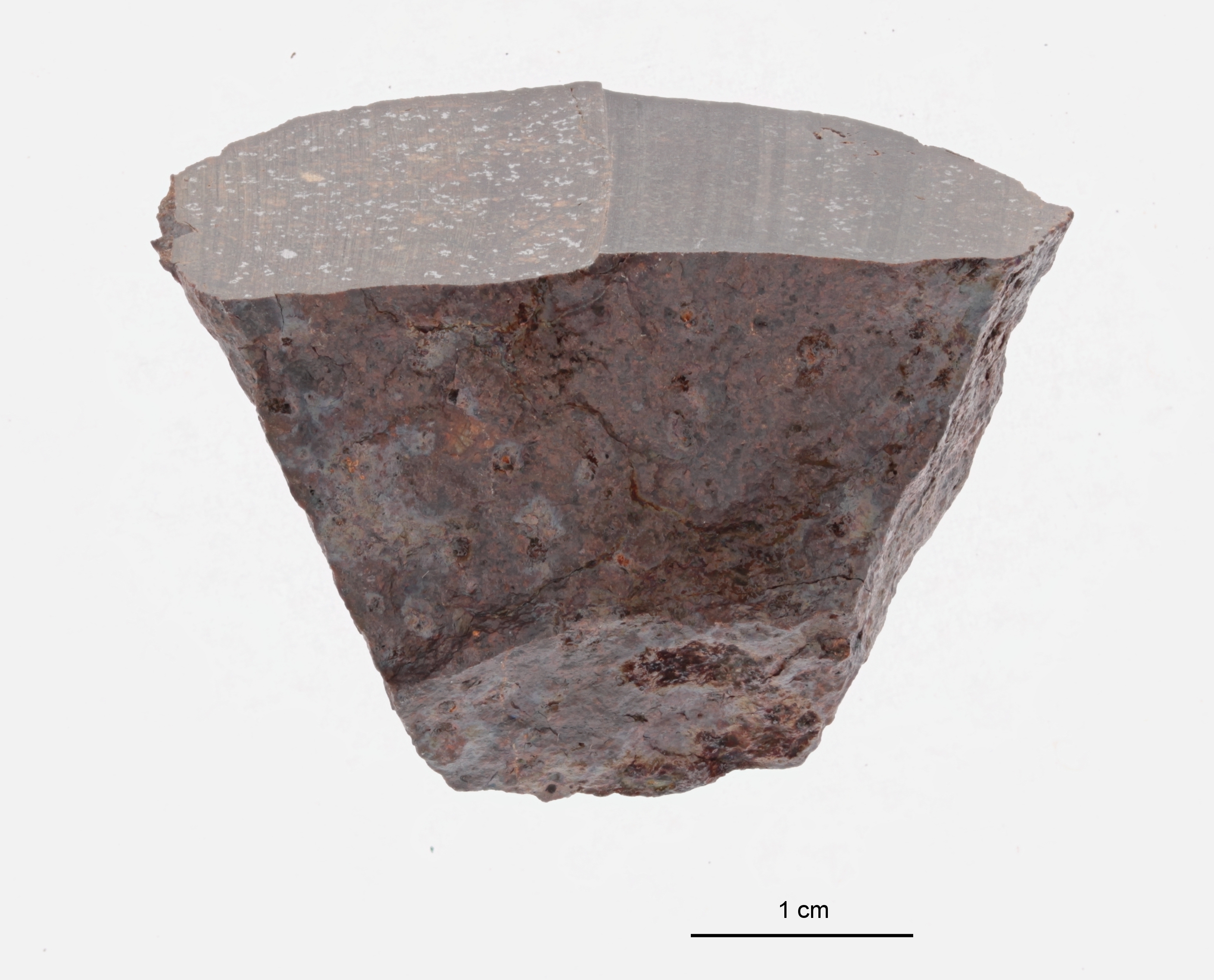 A09608-c ZS PMax.jpeg