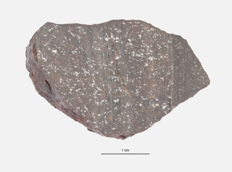 A09620-a ZS PMax.jpeg