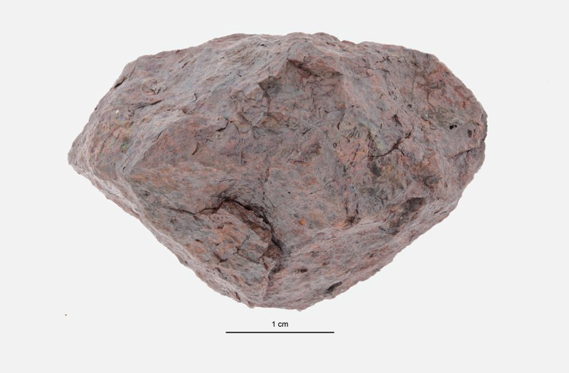 A09620-b ZS PMax.jpeg