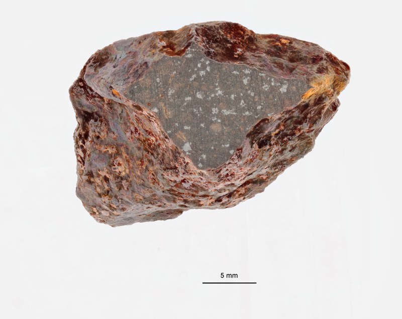 A09648-a ZS PMax.jpeg