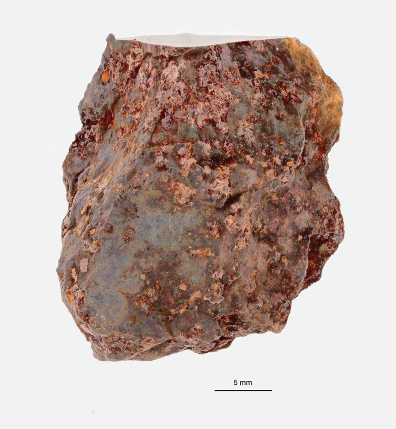 A09648-b ZS PMax.jpeg