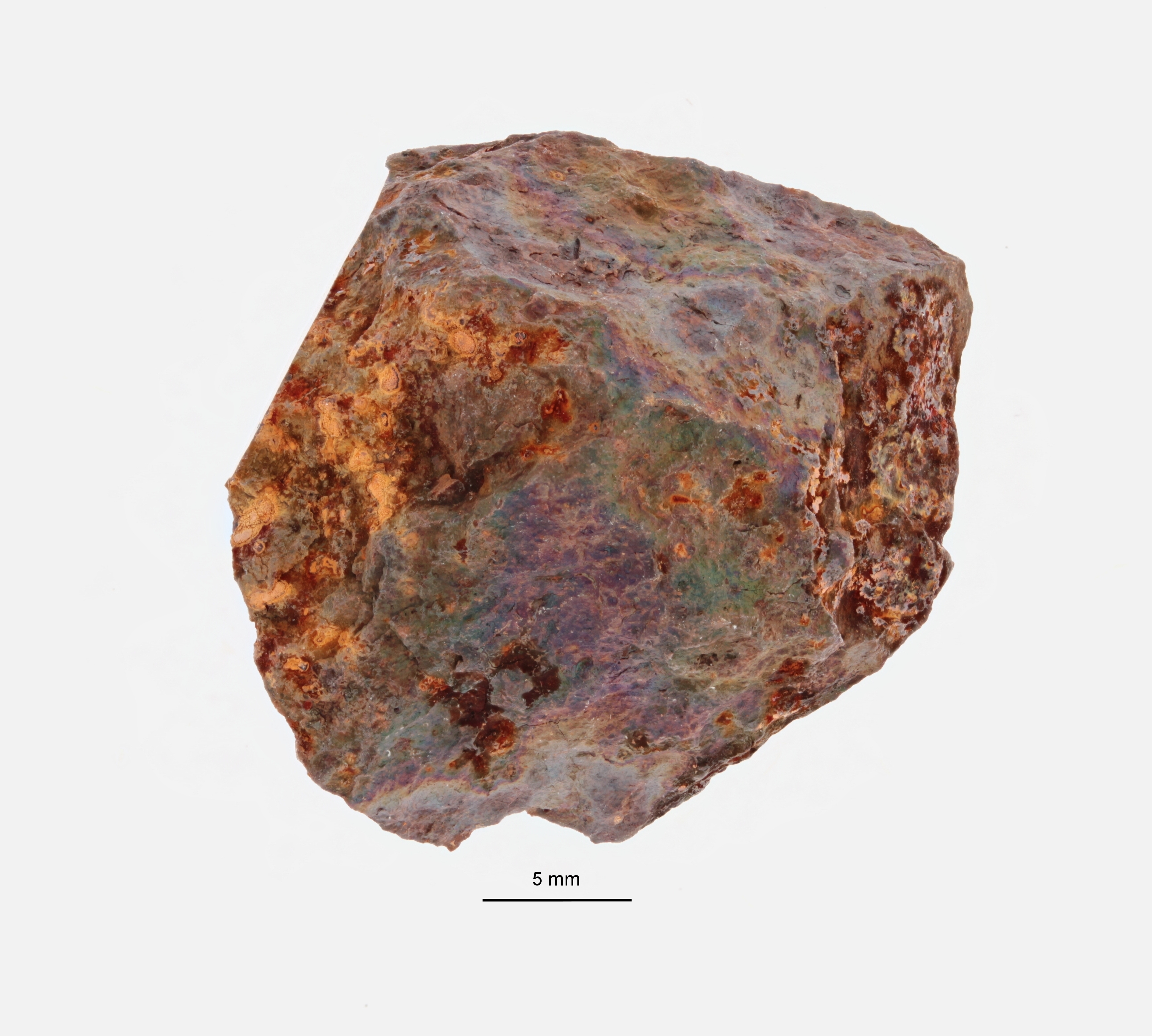A09650-a ZS PMax.jpeg