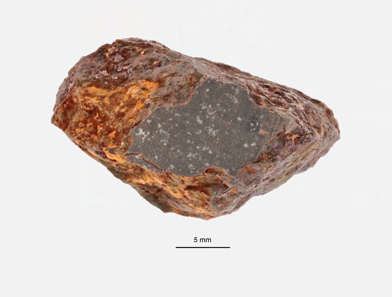 A09650-b ZS PMax.jpeg