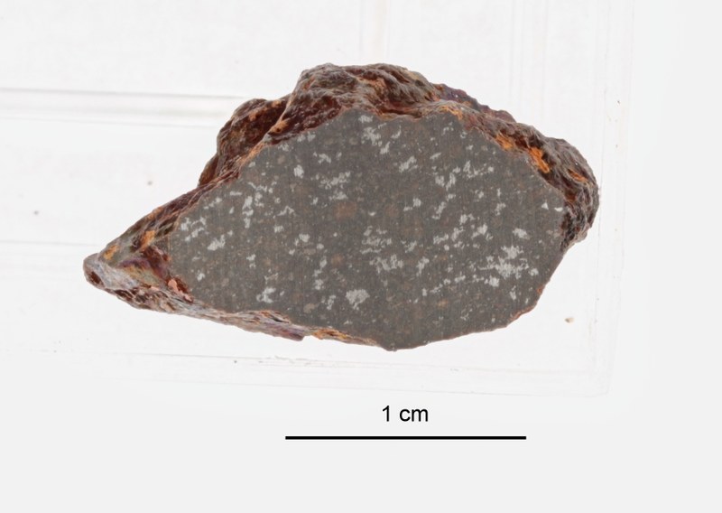 A09652-a ZS PMax.jpeg
