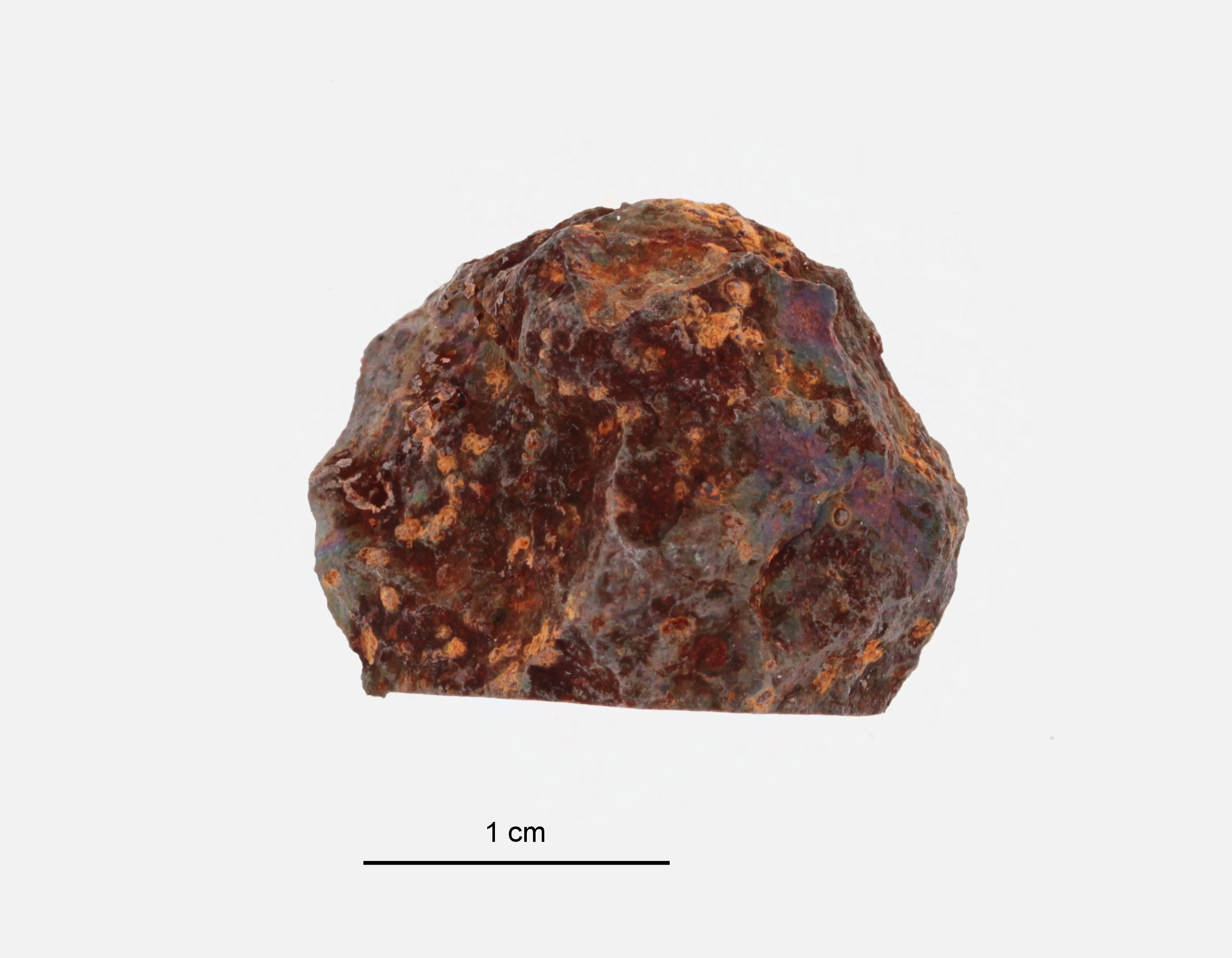 A09652-b ZS PMax.jpeg