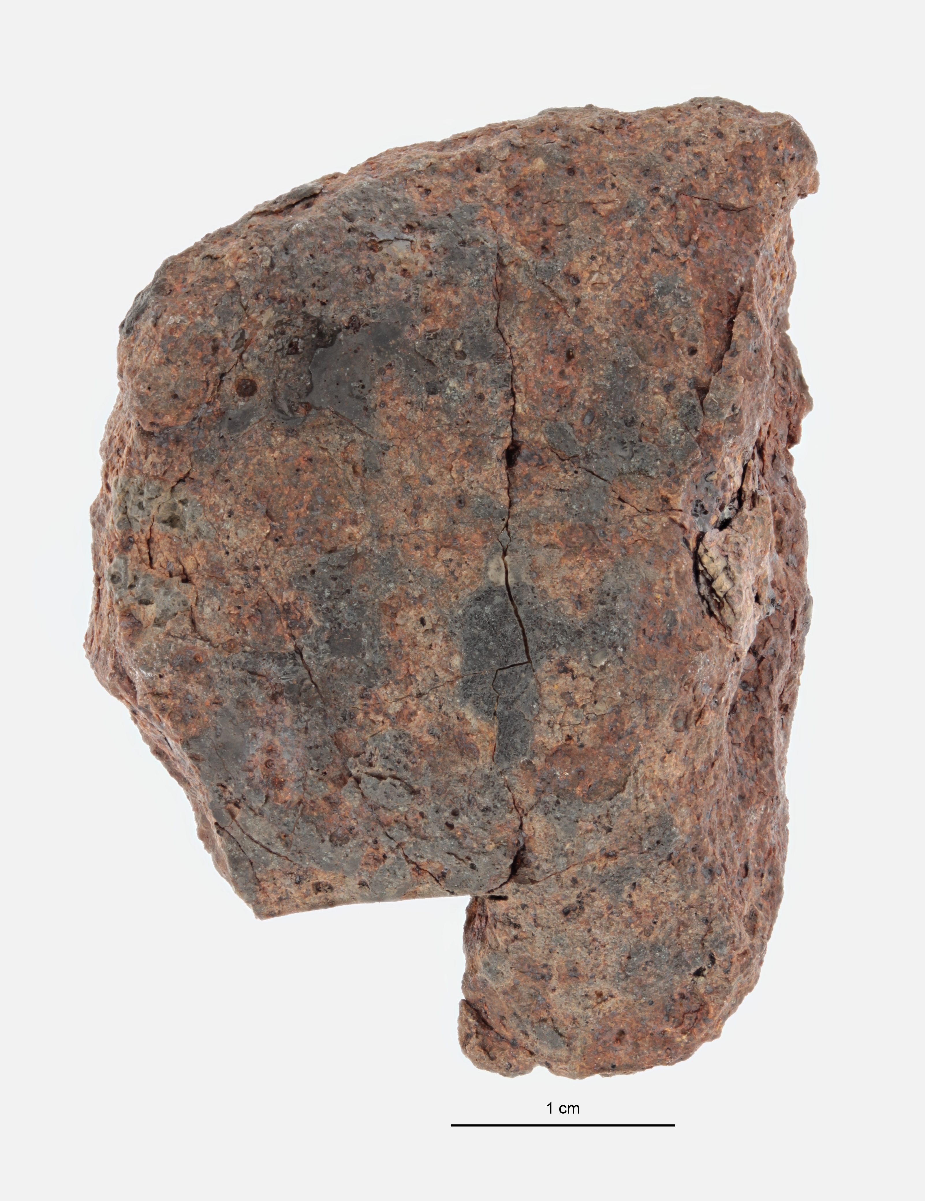 A12068-a.jpg