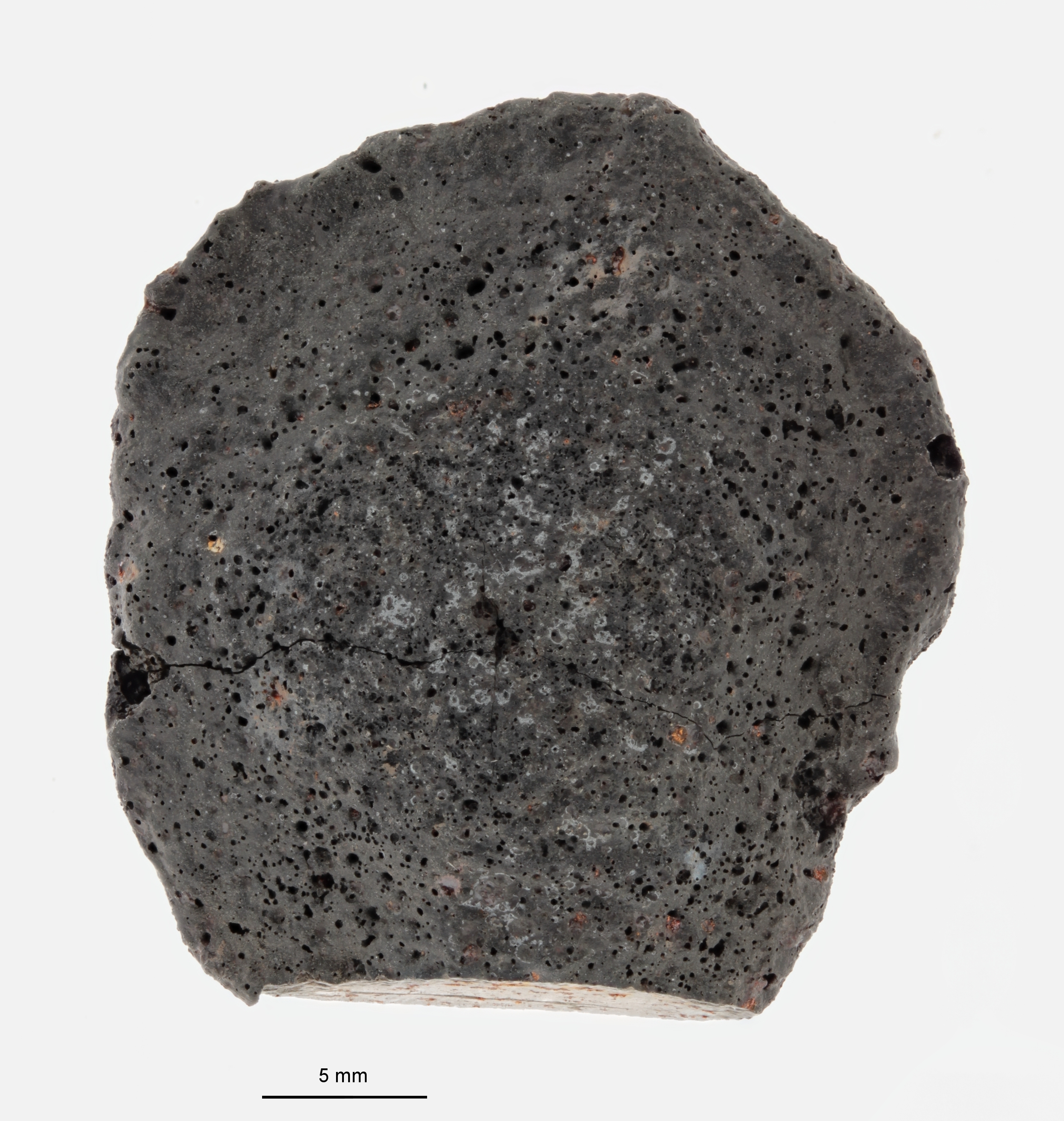 A12102-b.jpg