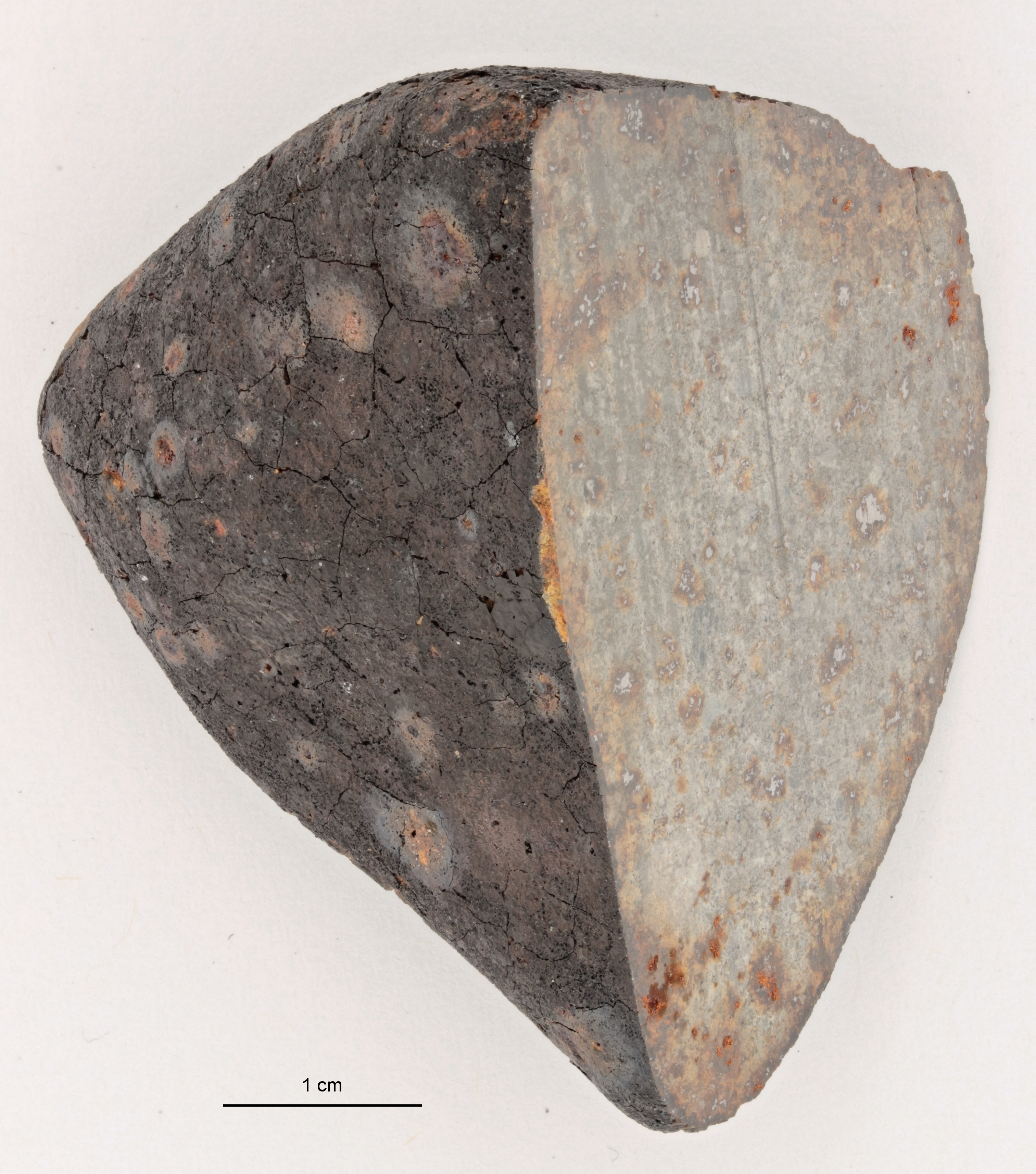 A12142-a.jpg