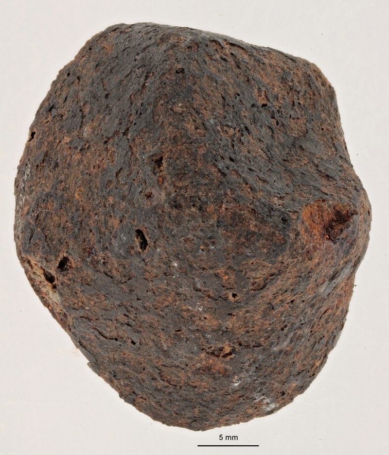 A12150-b ZS PMax.jpg