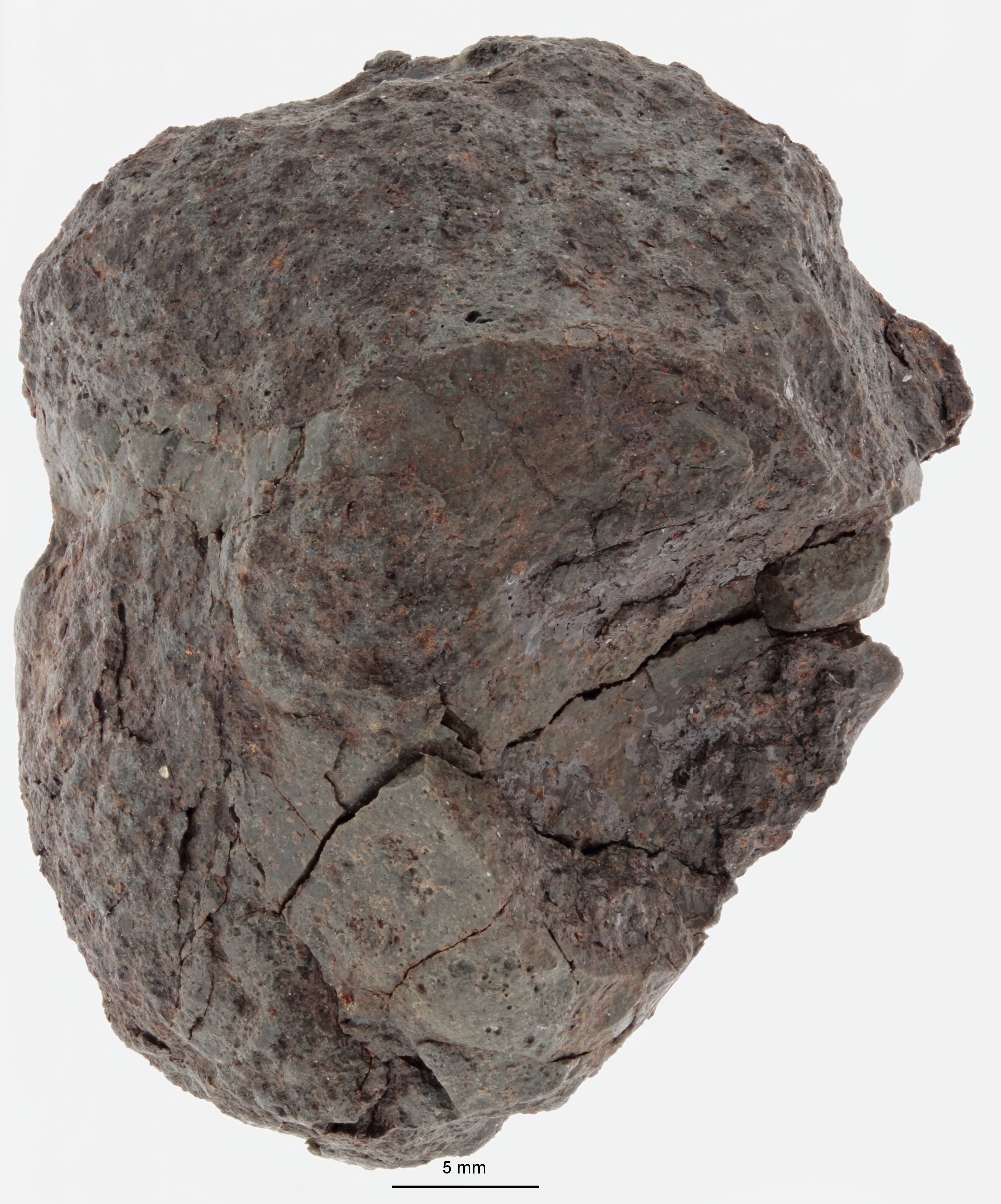 A12156-b.jpg