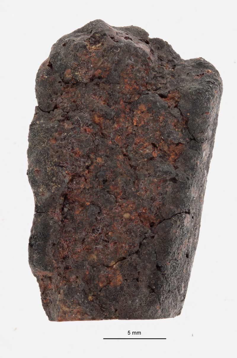 A12170-a.jpg