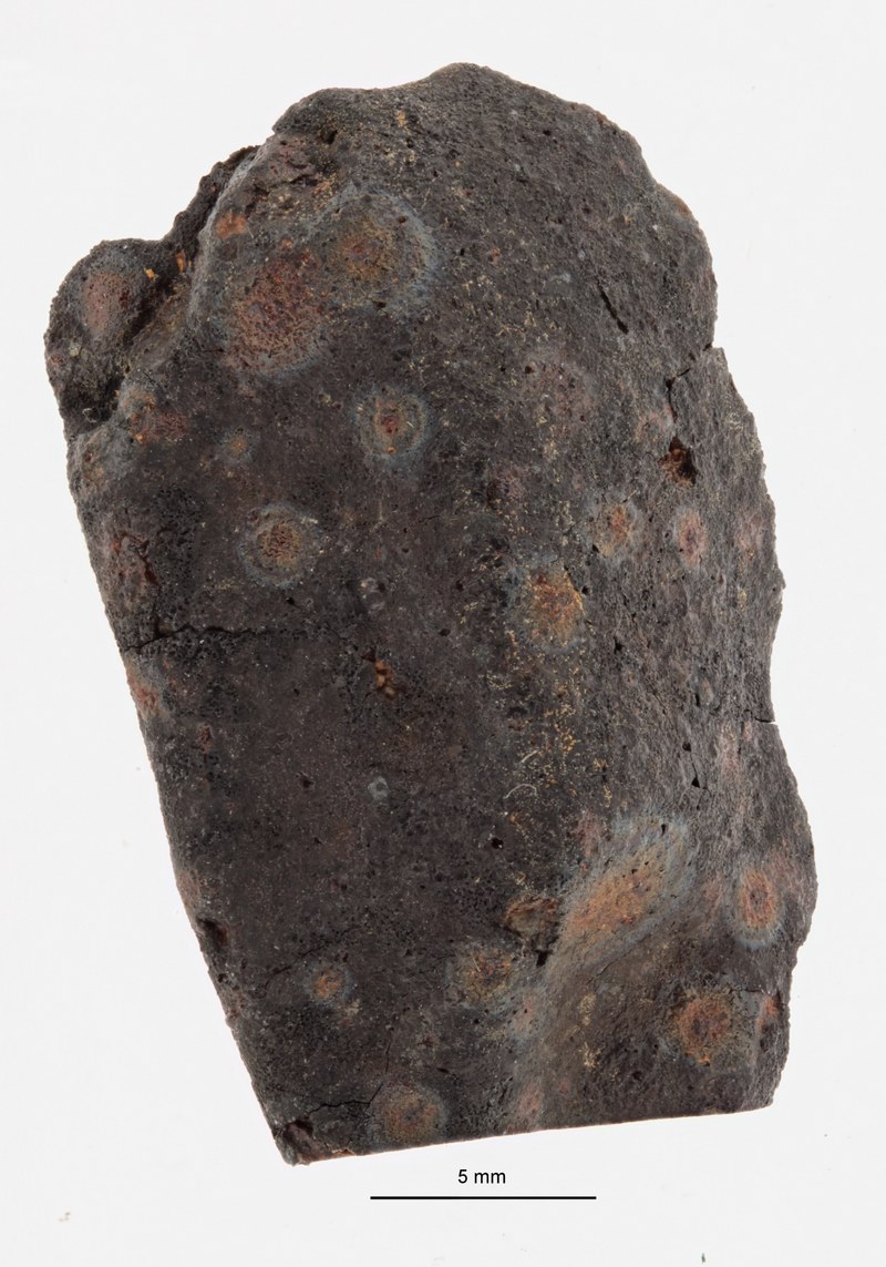A12170-b.jpg