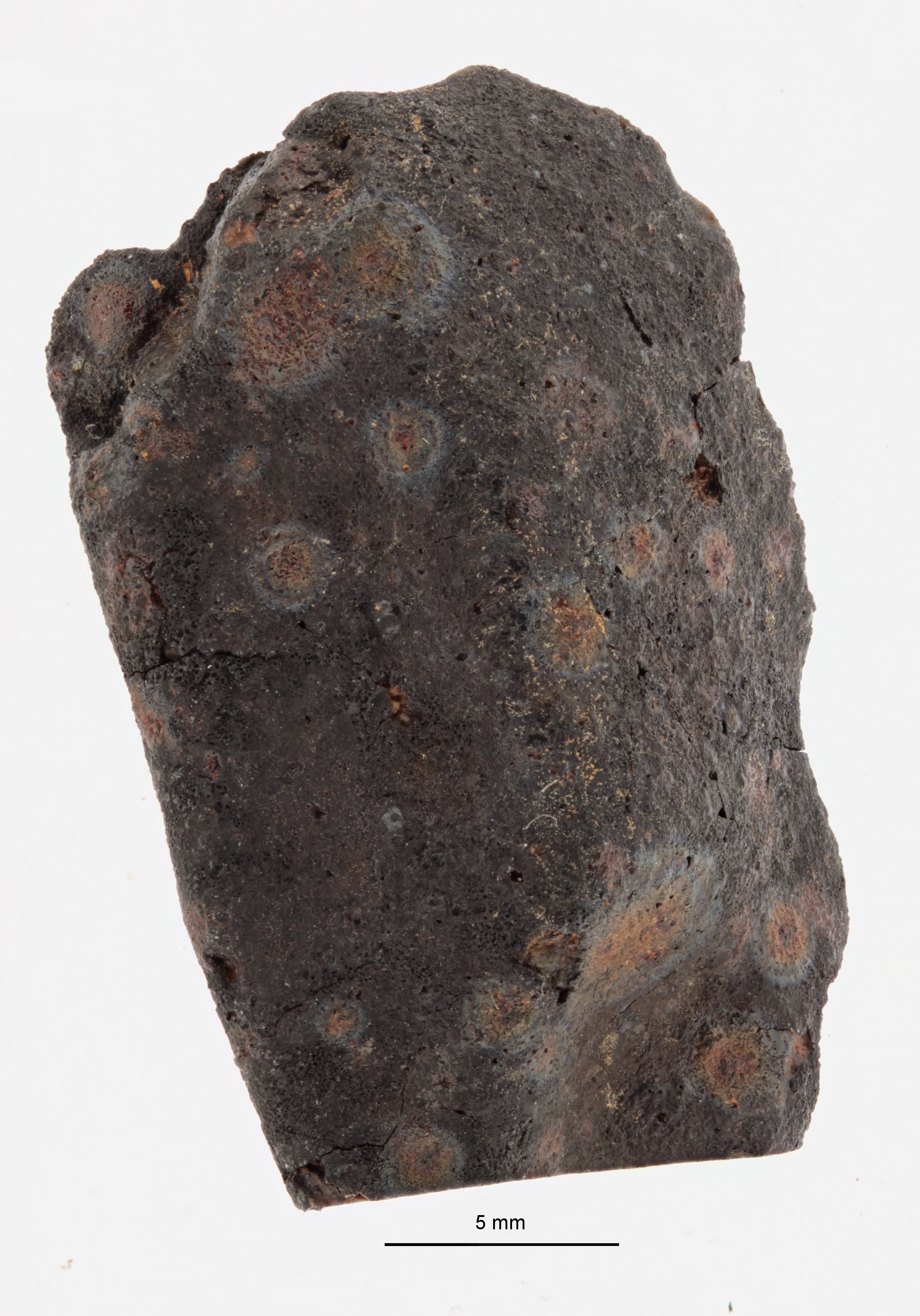 A12170-b.jpg