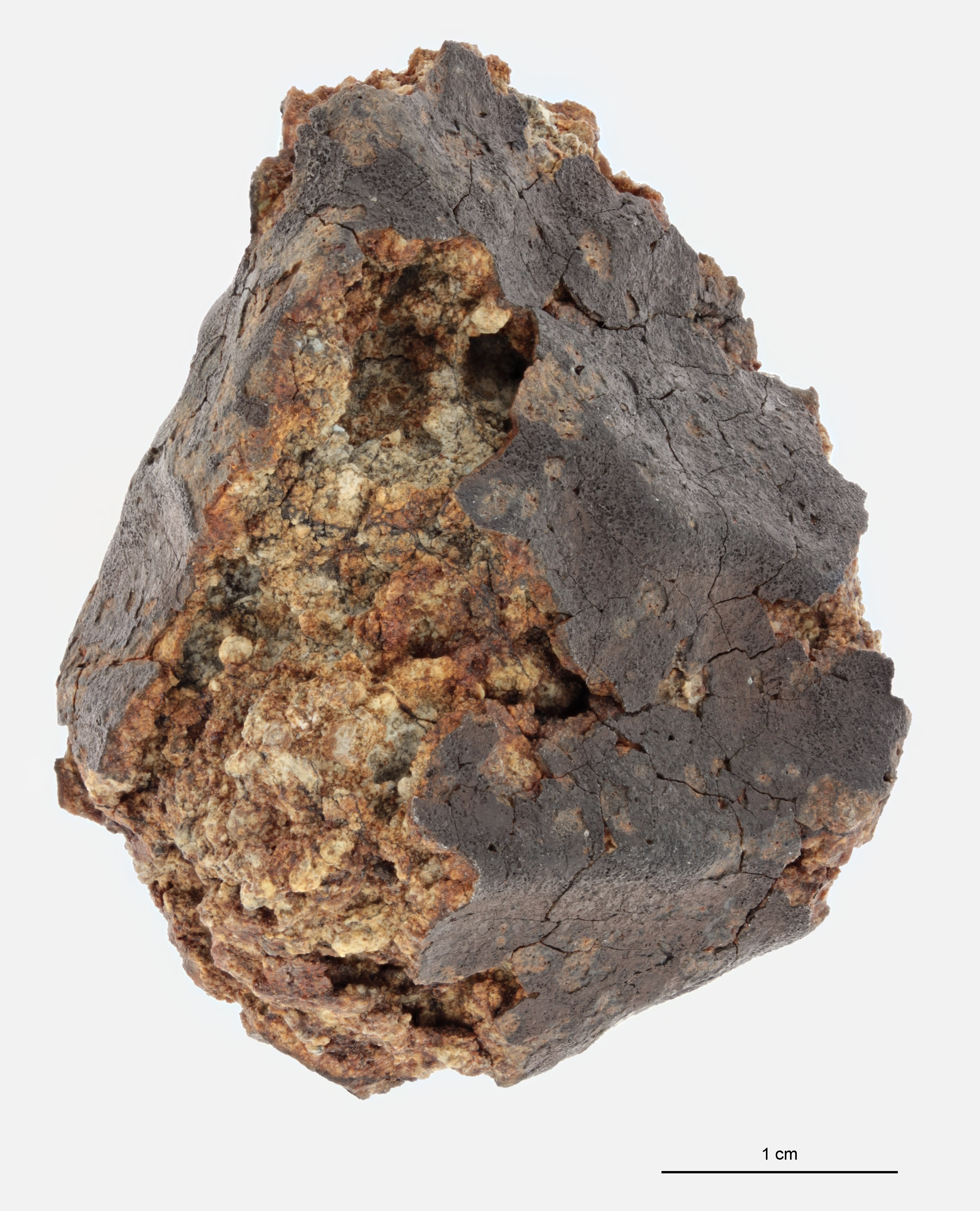 A12177-a.jpg