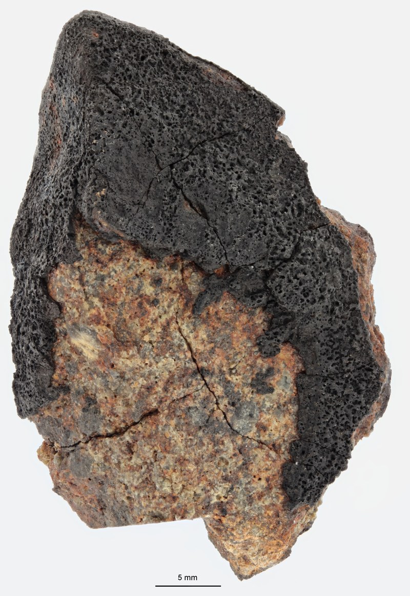 A12181-a.jpg
