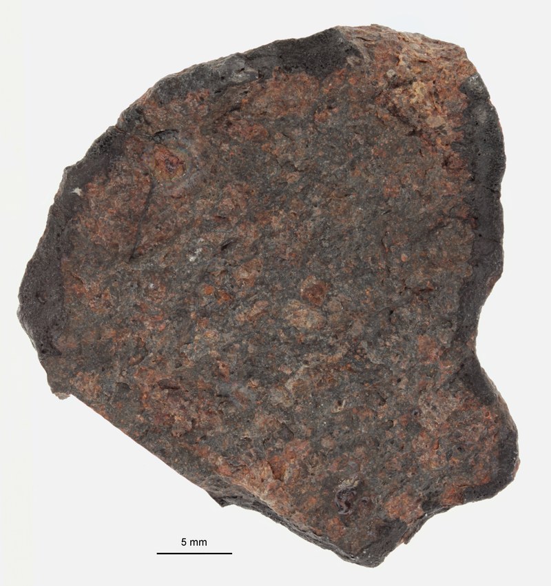 A12183-b.jpg