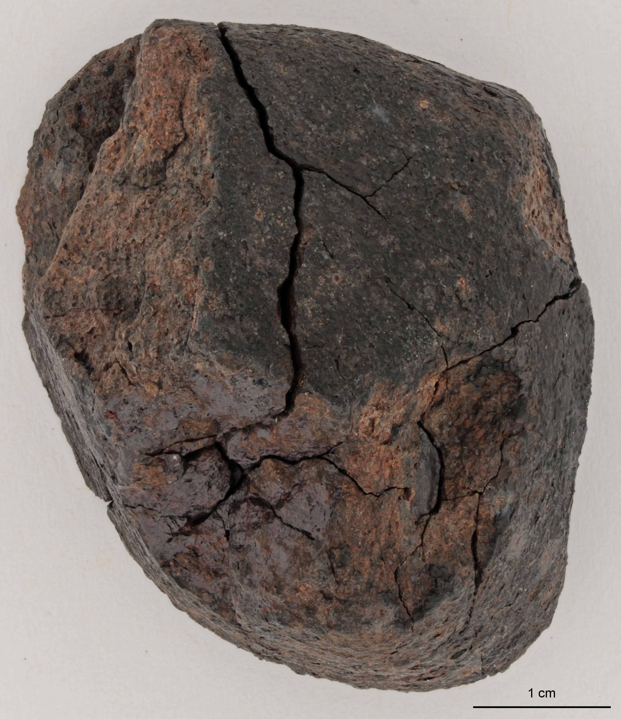 A12221-b.jpg
