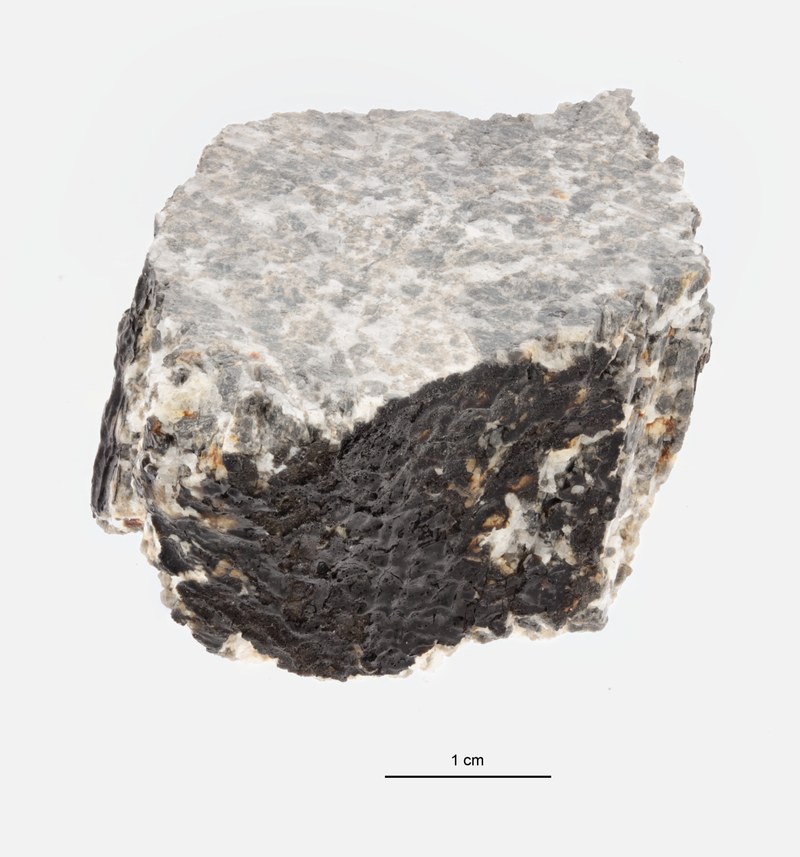 A12223-c ZS PMax.jpg.jpeg