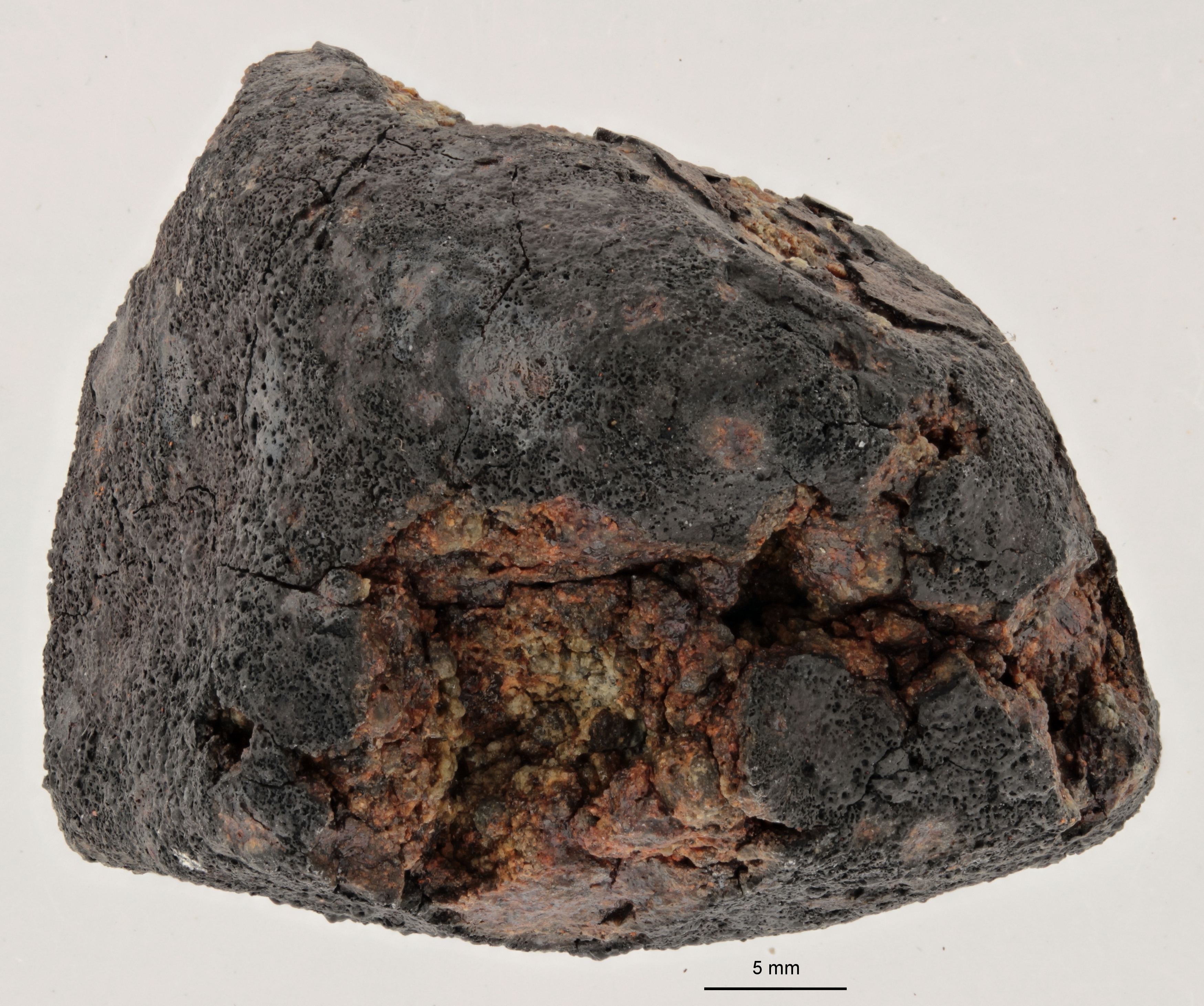 A12224-b.jpg