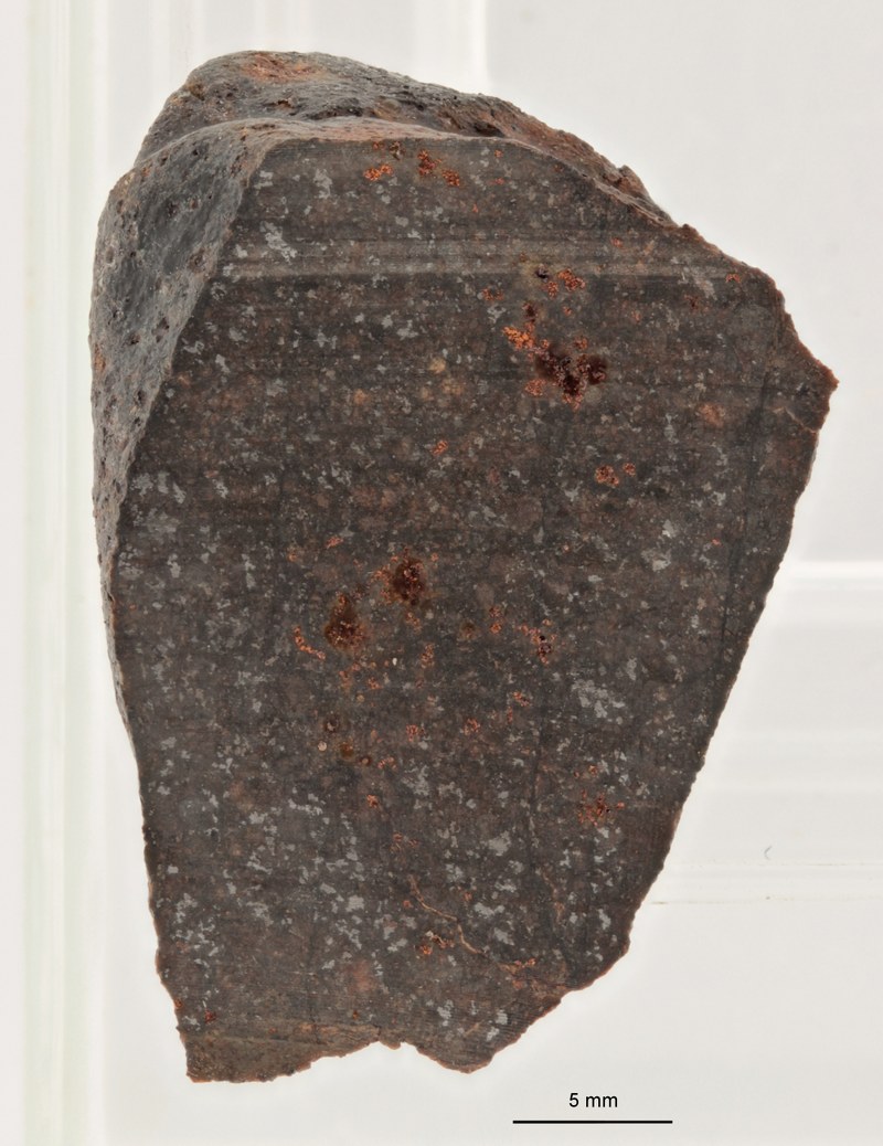 A12242-a ZS PMax.jpg