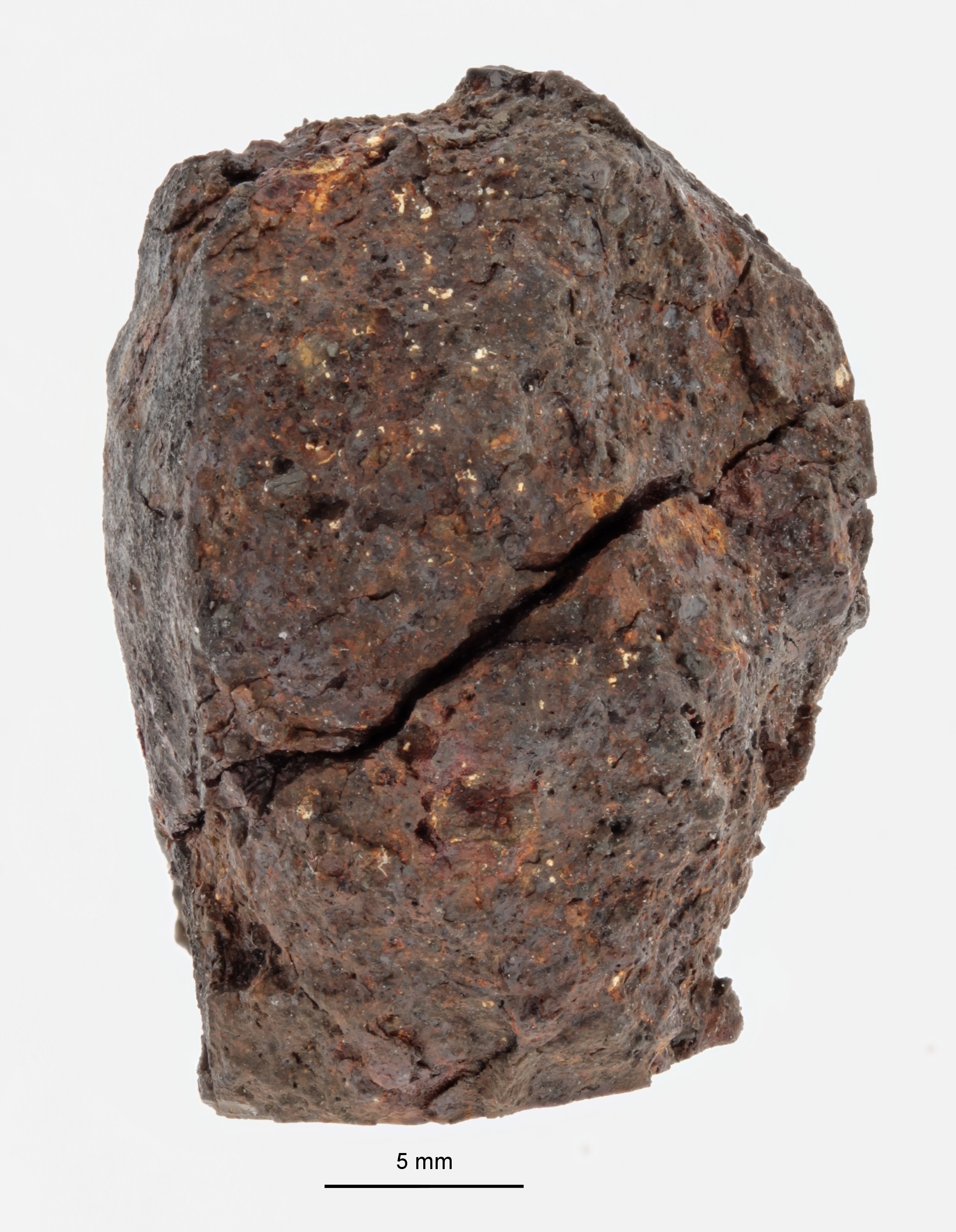 A12245-a.jpg