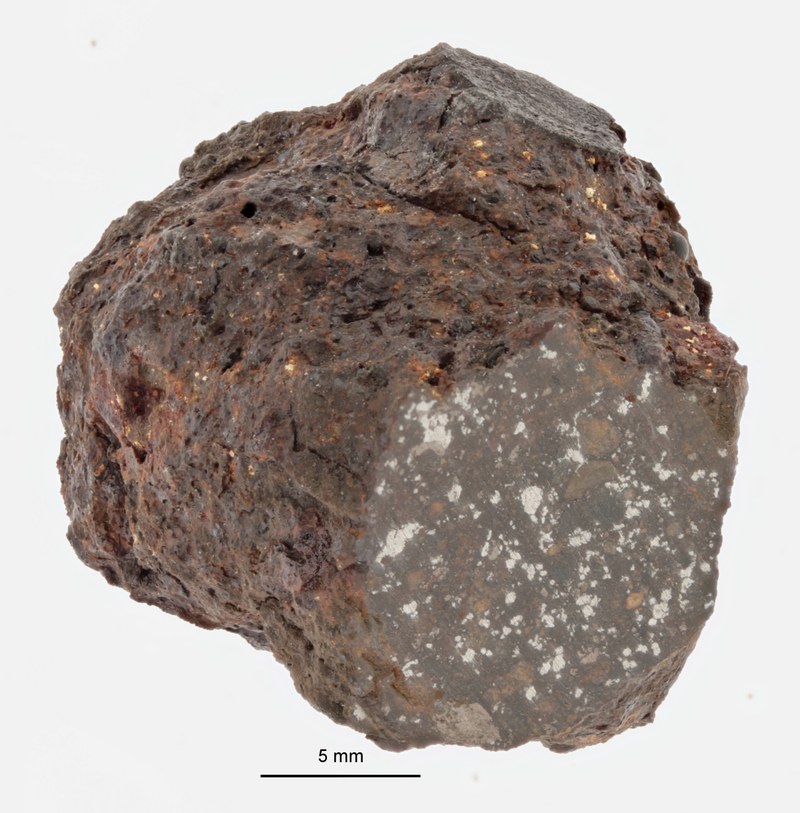 A12245-b.jpg