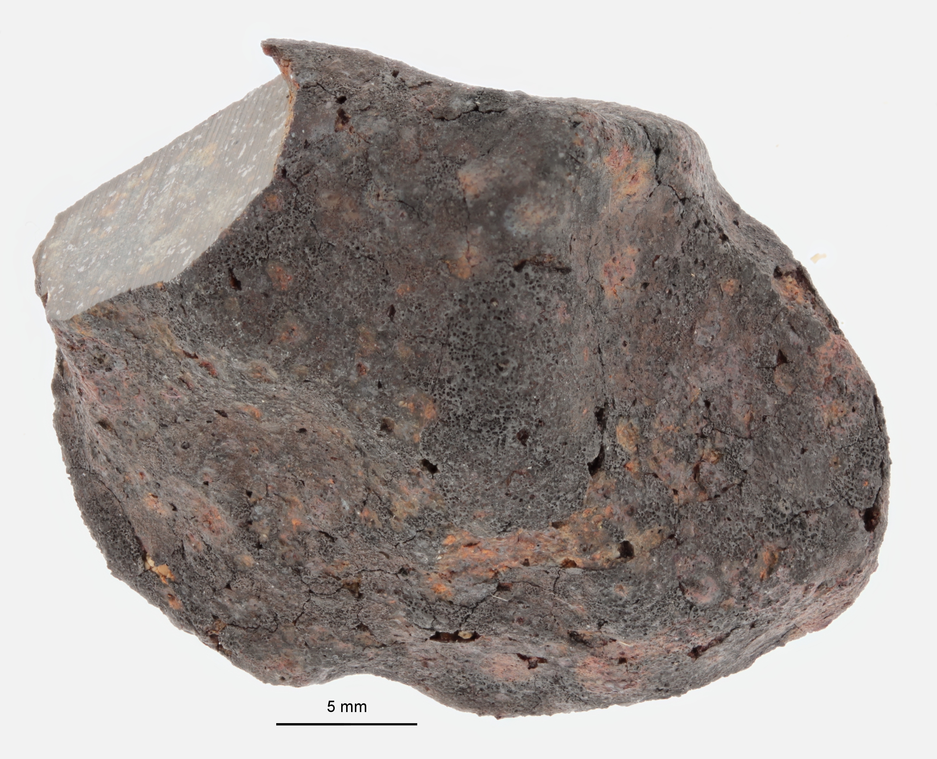 A12260-a.jpg