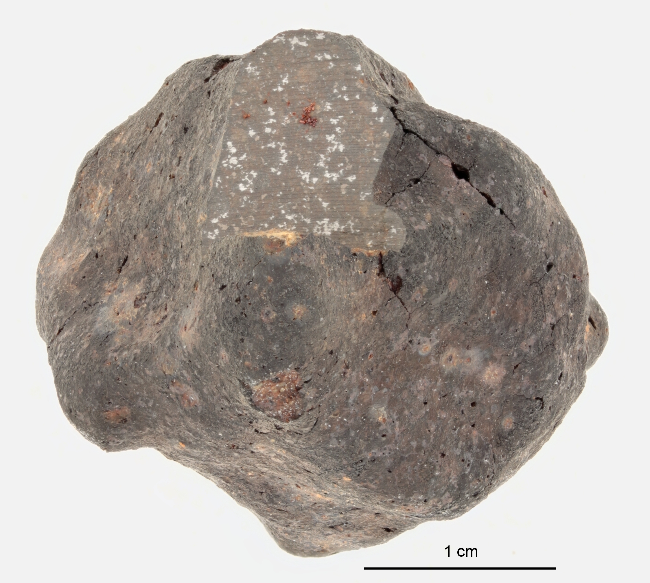 A12263-b.jpg