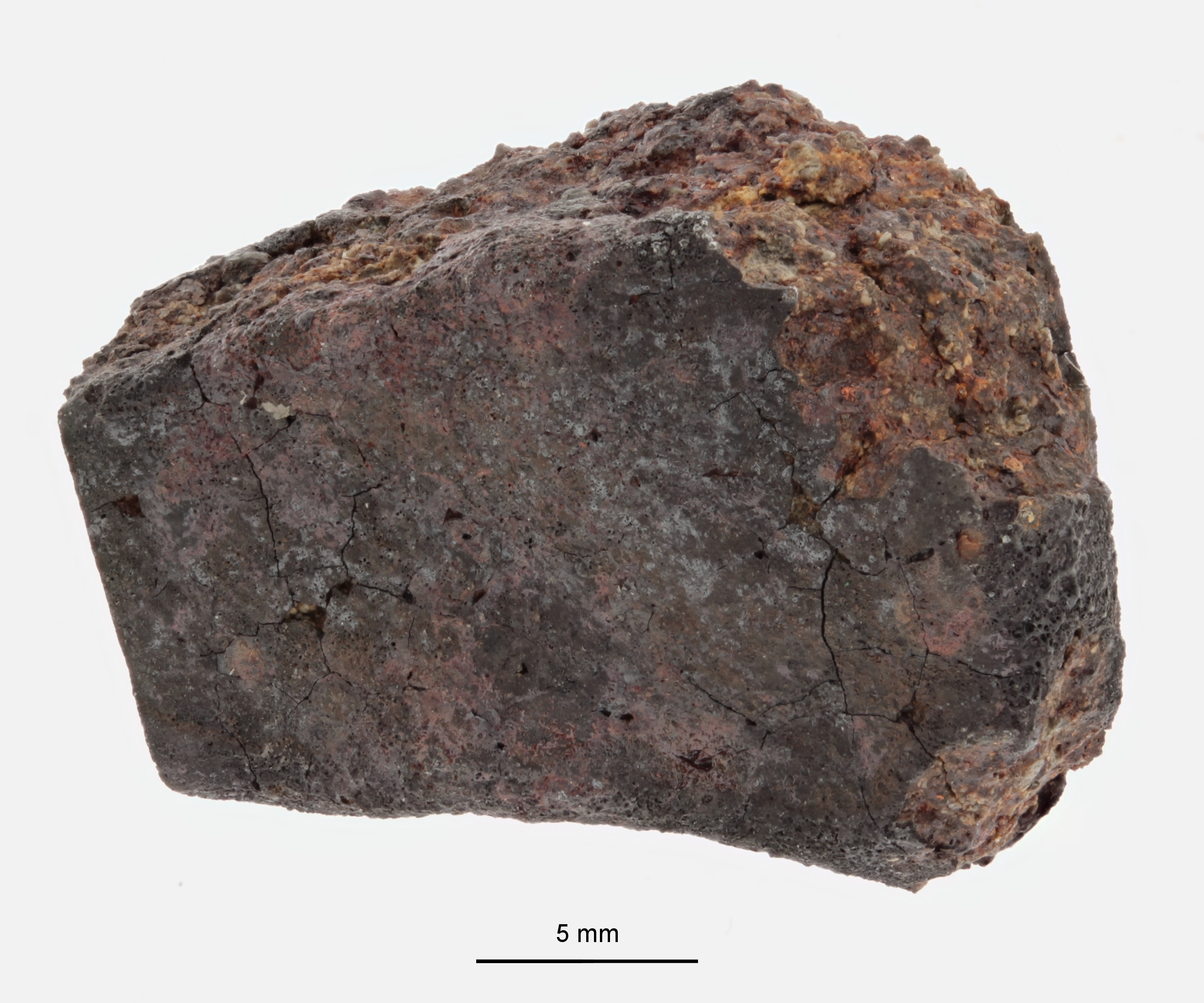 A12272-a.jpg
