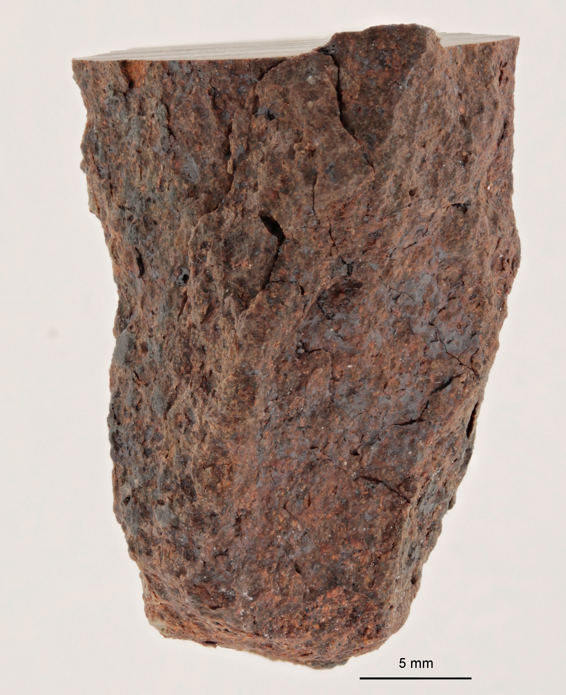 A12290-b ZS PMax.jpg