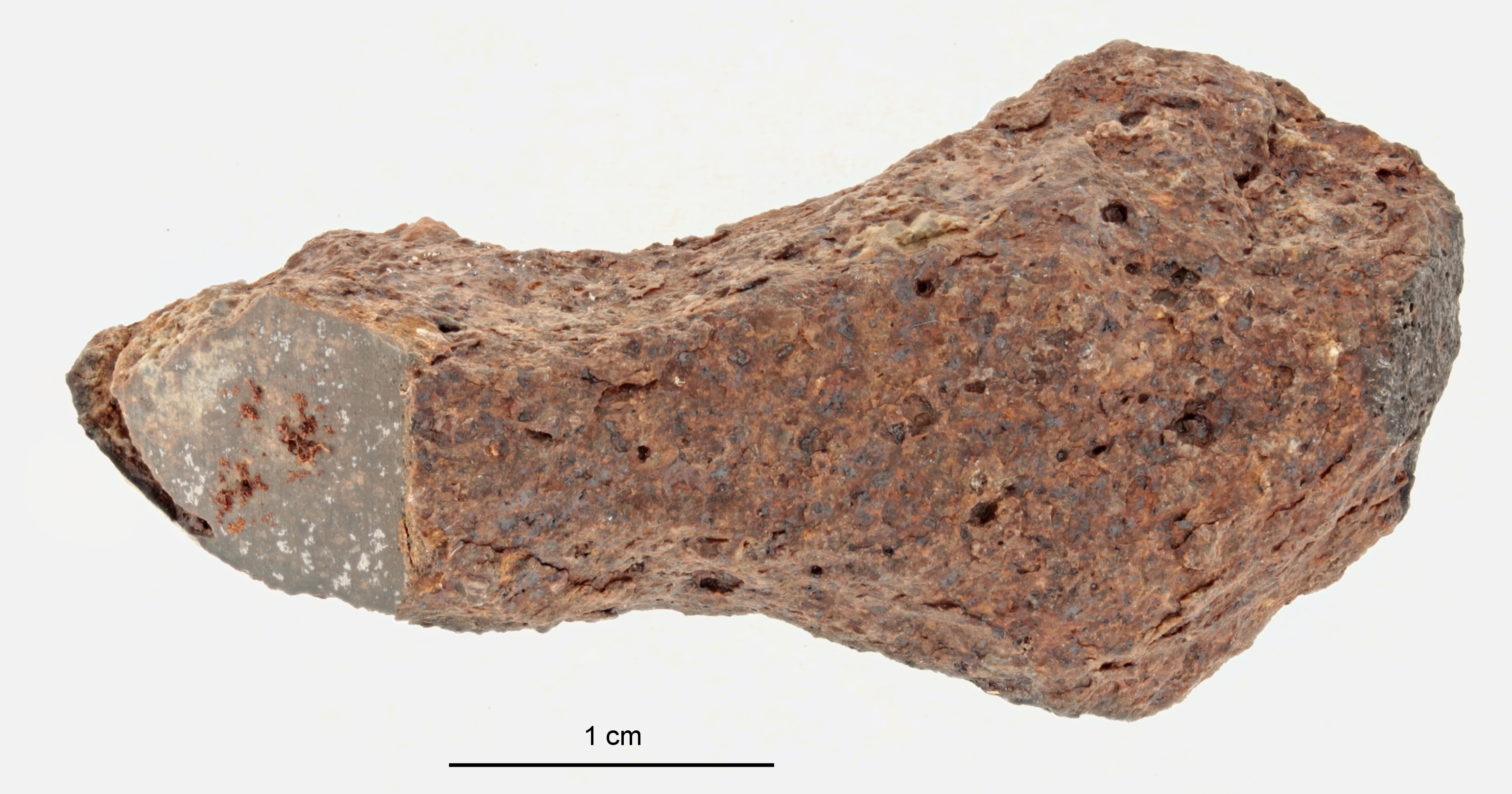 A12341-a.jpg