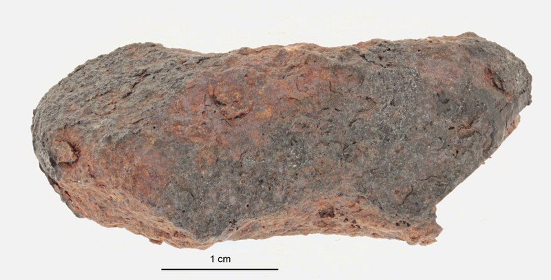 A12341-b.jpg